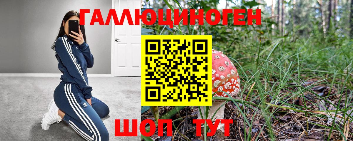 Галлюциногенные грибы Psilocybine cubensis Донецк