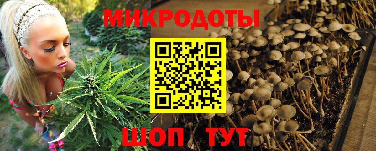 Донецк  Псилоцибиновые грибы прущие грибы  Псилоцибиновые грибы Magic Shrooms  Вход с VPN 